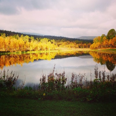 10606114_10204890419359070_7747556572238604877_n[1]