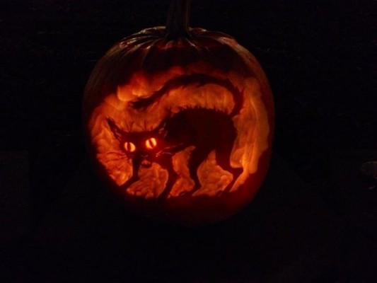 Catwalk längs Fjällvägen!