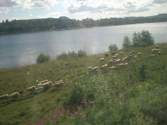 Vi jobbar enträget vidare.