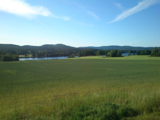 Ett vägstråk vi måste berätta om!