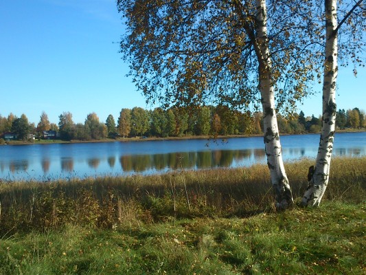 Den bästa fikaplatsen med eller utan kanelbulle!