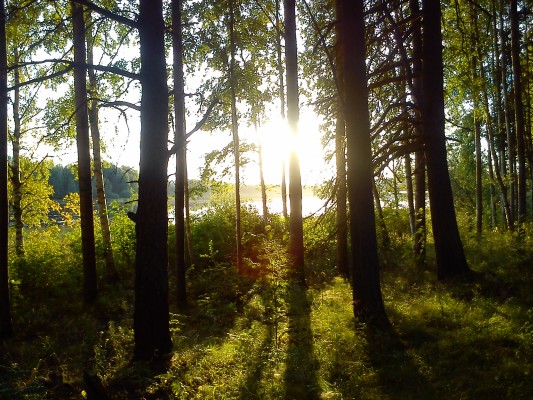 Medvind och motvind!!