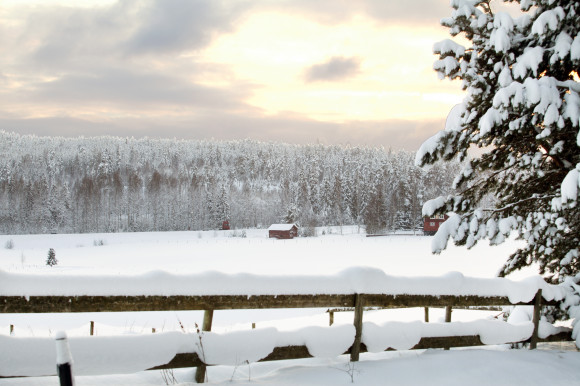 Sportlov längs Fjällvägen