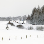 Landskap vinter Fjällvägen