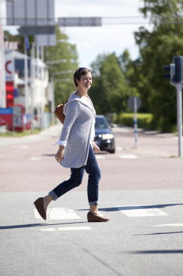 Fjällvägen - en vägvisare. Foto Lars Lööv.