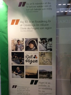 Rösterna längs Fjällvägen