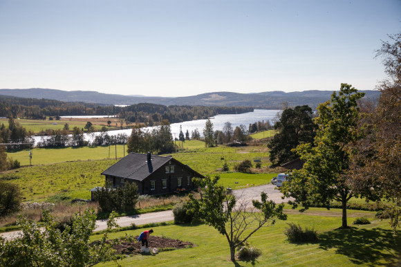 Blicken mot ett stråk