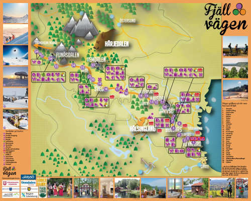 Fjällvägens mångfald